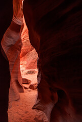Inside the Canyon
