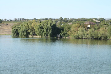 A lake with trees and a house
