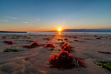 colourful , bright sunsets at the beach , minnis bay,birchinton , kent