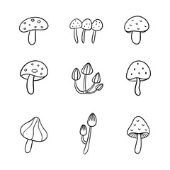 Mushroom doodle line icon. Hand drawn outline. Concept isolated illustration