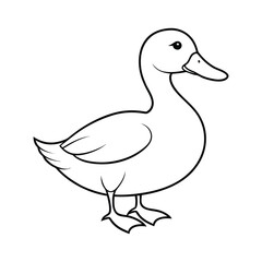  duck vector illustration