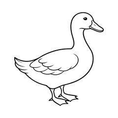 Obraz premium duck vector illustration 