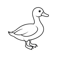 Obraz premium duck vector illustration 