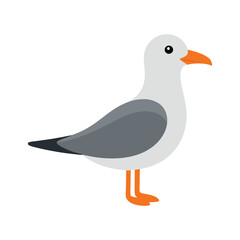 Obraz premium Seagull-on-white-background
