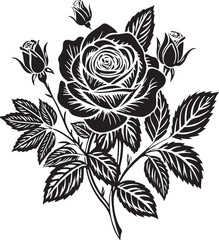 rose vector art illustration with a white background