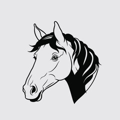 horse head illustration design 504