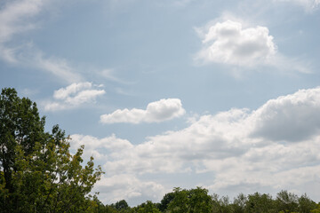 warm summer day with clouds and trees