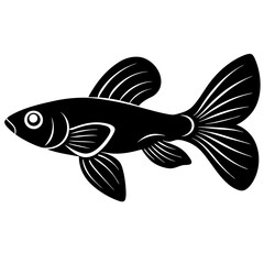 illustration of a fish