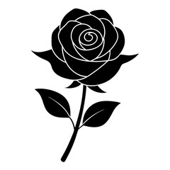 black and white rose