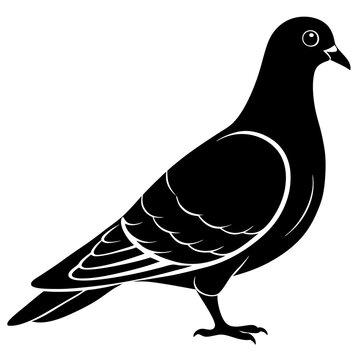 recommend clip art: illustration of a pigeon