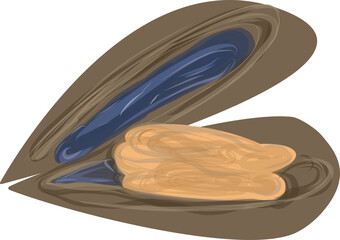 Pastel Open Oyster Illustration Adobe Illustrator Artwork