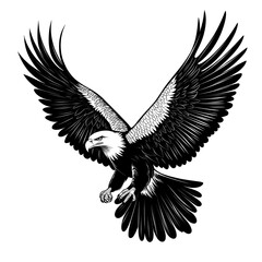 Obraz premium Black and white illustration of a bald eagle in flight.