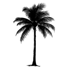 Silhouette of a single palm tree with lush leaves and a textured trunk, standing on a white background.