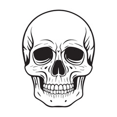 Vintage style skull illustration