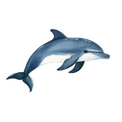 Playful Dolphin Watercolor Portrait: playful and Perfect for marine life 