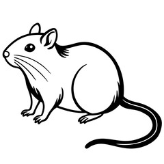 illustration of a mouse