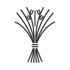 Black and white line art illustration of a bundle of lemongrass stalks tied together