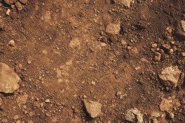Earthy brown soil texture with scattered stones