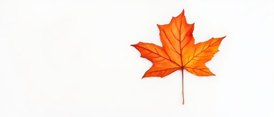Fototapeta premium Vibrant orange maple leaf isolated on a clean white background, highlighting autumn beauty and seasonal change.