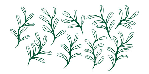 Fototapeta premium Collection of Leaf Silhouettes. Set of leaves. Leaves Hand Drawn Doodle Line Art Outline Set Containing leaf, leaves.