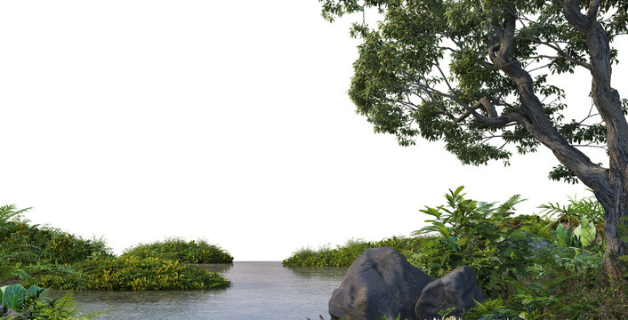 3D render foreground swamp with large plants and trees on transparent background