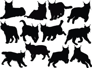 twelve lynx silhouettes set isolated on white