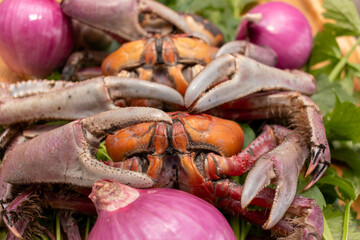 Raw red mangrove crabs (Ucides occidentalis) prepared for cooking, placed on a chopping board...