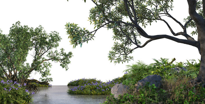 3D render foreground swamp with large plants and trees on transparent background