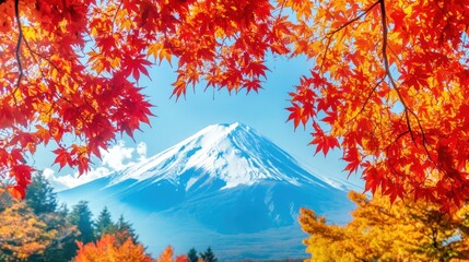 A mountain with a snow covered peak and a field of yellow grass with red leaves falling