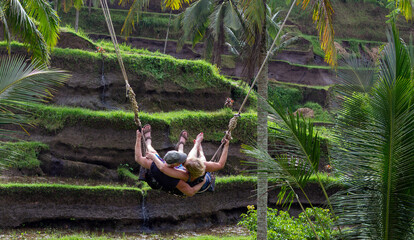 A Couple Enjoying Swinging Together Amidst the Lush Rice Terraces of Bali