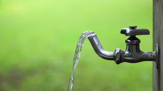 蛇口から水が出る公園の水道