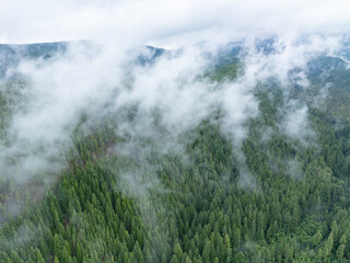 Low clouds drift across the vast national forest surrounding Mount Hood, Oregon. The entire Pacific Northwest is known for its moist, temperate climate and beautiful, mountainous landscapes.