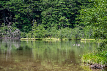 夏の上高地，明神池，長野県
