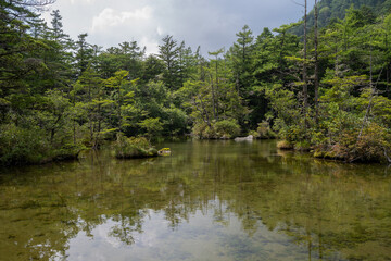 夏の上高地，明神池，長野県
