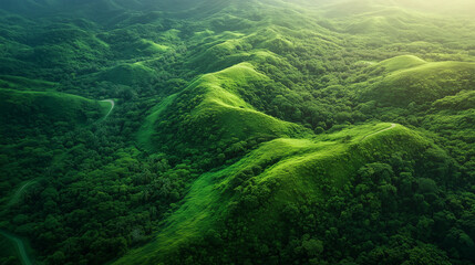 Widok z lotu ptaka na malownicze zielone wzg&oacute;rza z wijącymi się drogami, otoczone bujną, leśną roślinnością, oferującą naturalny spok&oacute;j i niezwykłe piękno krajobrazu.