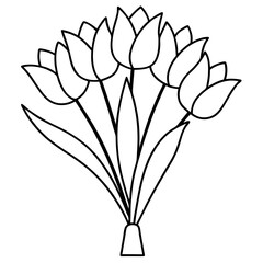 Tulip Bouquet Vector on White Background