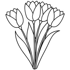 Tulip Bouquet Vector on White Background