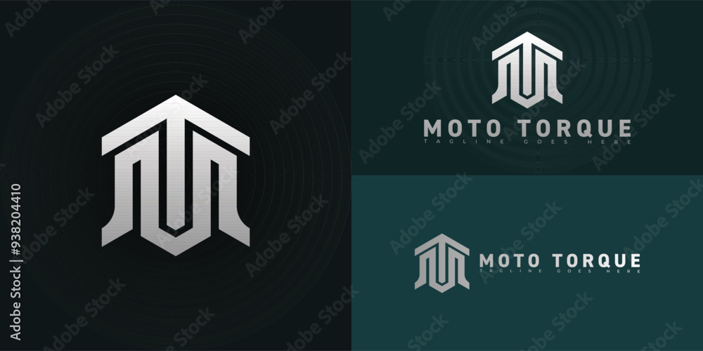 Poster abstract hexagon initial letter mt or tm in silver-white color isolated on multiple background color