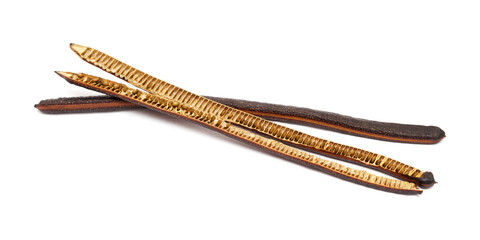 Logs seedpods of Senna spectabilis, golden wonder tree, isolated on white background