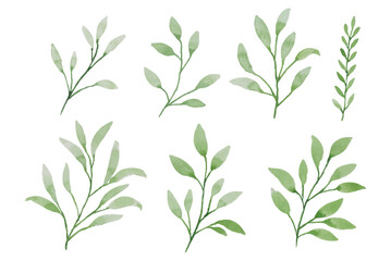 Assortment of watercolor leaves illustration set - green leaf branches collection for wedding, greetings, stationary, wallpapers, fashion, background. olive, green leaves, Eucalyptus etc