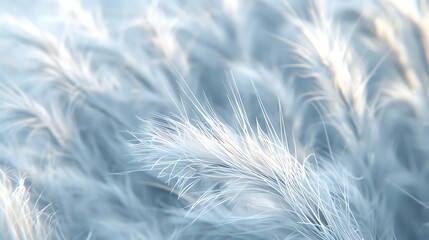 A close-up of delicate, feathery plants swaying gently in a soft, ethereal light.