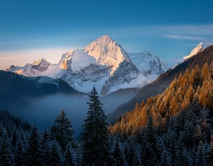 Majestic Snow Capped Mountain Landscape with Pristine Pine Forest at Dawn
