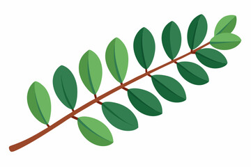 Large Horizontal Brown Branch with Green Eucalyptus Leaves on White Background