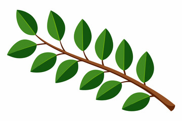 Large Horizontal Brown Branch with Green Eucalyptus Leaves on White Background
