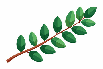 Large Horizontal Brown Branch with Green Eucalyptus Leaves on White Background