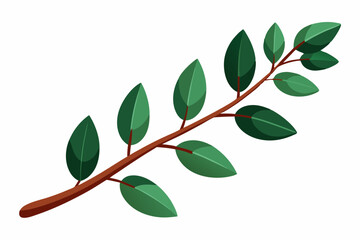 Large Horizontal Brown Branch with Green Eucalyptus Leaves on White Background