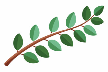 Large Horizontal Brown Branch with Green Eucalyptus Leaves on White Background