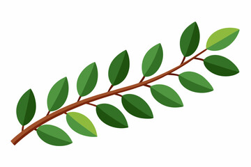 Large Horizontal Brown Branch with Green Eucalyptus Leaves on White Background