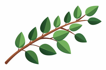 Large Horizontal Brown Branch with Green Eucalyptus Leaves on White Background