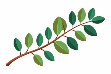 Large Horizontal Brown Branch with Green Eucalyptus Leaves on White Background